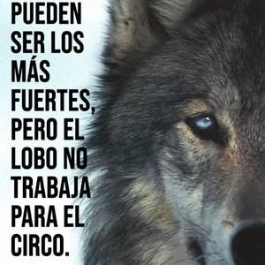 Meet your Posher, Roberto